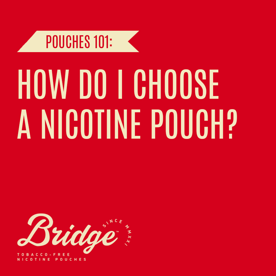 How to Choose a Nicotine Pouch? Best Nicotine Pouch Guide Bridge™